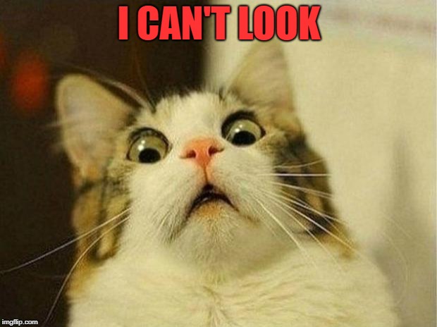 Scared Cat Meme | I CAN'T LOOK | image tagged in memes,scared cat | made w/ Imgflip meme maker