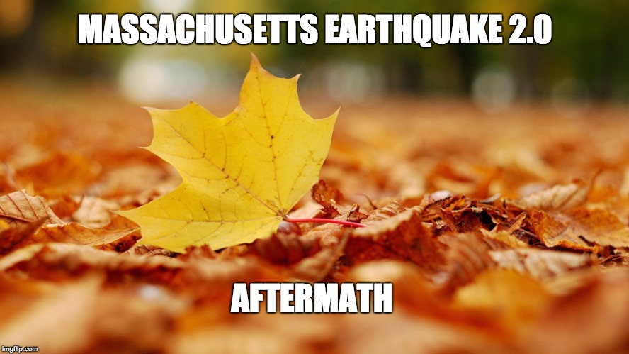 hd leaf | MASSACHUSETTS EARTHQUAKE 2.0; AFTERMATH | image tagged in hd leaf | made w/ Imgflip meme maker