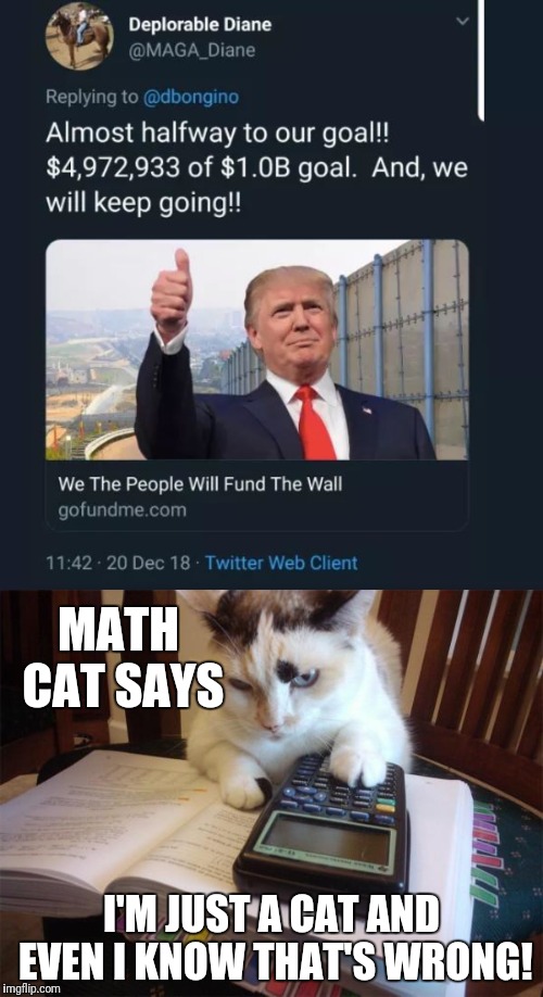 Trump-a-nomics | MATH CAT SAYS; I'M JUST A CAT AND EVEN I KNOW THAT'S WRONG! | image tagged in math cat,trump,donald trump,trump wall,build the wall,build a wall | made w/ Imgflip meme maker