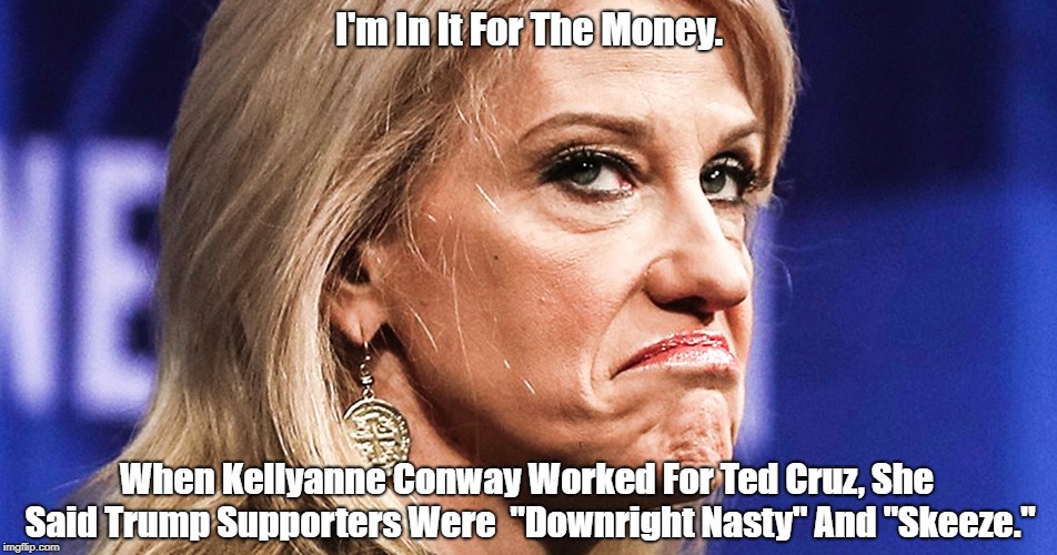 I'm In It For The Money. When Kellyanne Conway Worked For Ted Cruz, She Said Trump Supporters Were  "Downright Nasty" And "Skeeze." | made w/ Imgflip meme maker