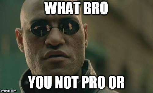 Matrix Morpheus | WHAT BRO; YOU NOT PRO OR | image tagged in memes,matrix morpheus | made w/ Imgflip meme maker