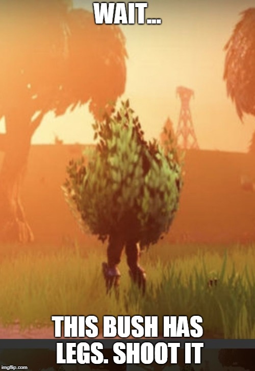 Fortnite bush | WAIT... THIS BUSH HAS LEGS. SHOOT IT | image tagged in fortnite bush | made w/ Imgflip meme maker