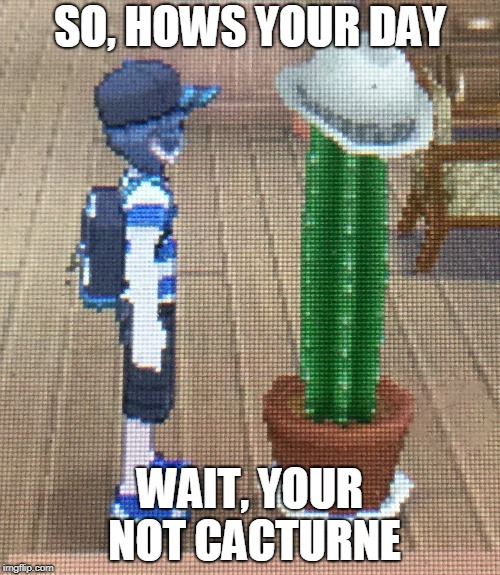 Forever Alone Pokemon Sun and Moon | SO, HOWS YOUR DAY; WAIT, YOUR NOT CACTURNE | image tagged in forever alone pokemon sun and moon | made w/ Imgflip meme maker