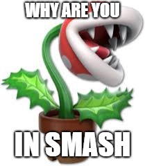 piranha plant | WHY ARE YOU; IN SMASH | image tagged in piranha plant | made w/ Imgflip meme maker