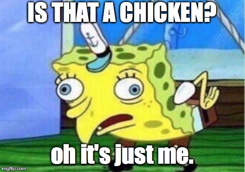 Mocking Spongebob | IS THAT A CHICKEN? oh it's just me. | image tagged in memes,mocking spongebob | made w/ Imgflip meme maker