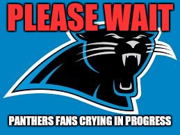 PLEASE WAIT; PANTHERS FANS CRYING IN PROGRESS | image tagged in c | made w/ Imgflip meme maker