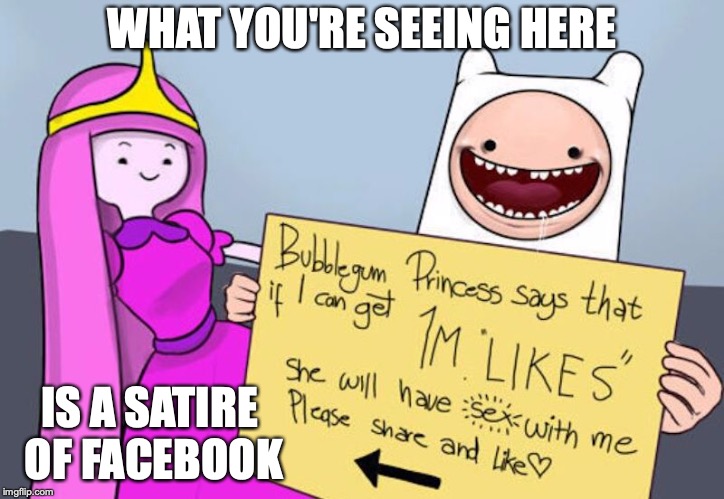 Facebook Satire | WHAT YOU'RE SEEING HERE; IS A SATIRE OF FACEBOOK | image tagged in satire,facebook,adventure time,memes | made w/ Imgflip meme maker