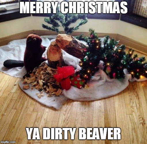 Dirty Beaver | MERRY CHRISTMAS; YA DIRTY BEAVER | image tagged in christmas,christmas tree | made w/ Imgflip meme maker