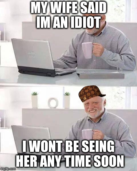 Hide the Pain Harold | MY WIFE SAID IM AN IDIOT; I WONT BE SEING HER ANY TIME SOON | image tagged in memes,hide the pain harold,scumbag | made w/ Imgflip meme maker
