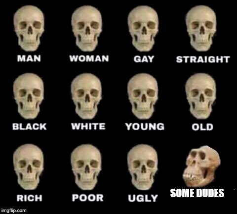 idiot skull | SOME DUDES | image tagged in idiot skull | made w/ Imgflip meme maker