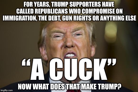 It makes them all hypocrites at the very least. | FOR YEARS, TRUMP SUPPORTERS HAVE CALLED REPUBLICANS WHO COMPROMISE ON IMMIGRATION, THE DEBT, GUN RIGHTS OR ANYTHING ELSE; “A CUCK”; NOW WHAT DOES THAT MAKE TRUMP? | image tagged in trump funny face | made w/ Imgflip meme maker