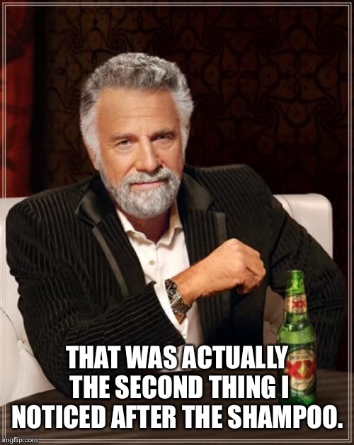 The Most Interesting Man In The World Meme | THAT WAS ACTUALLY THE SECOND THING I NOTICED AFTER THE SHAMPOO. | image tagged in memes,the most interesting man in the world | made w/ Imgflip meme maker