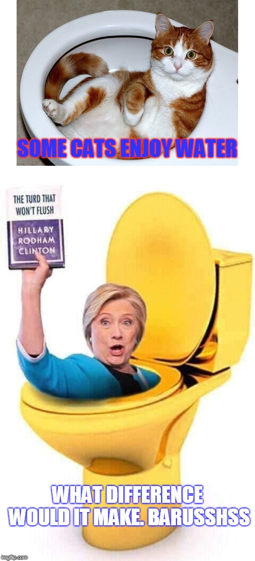 you find all kind of crap in the toilet, take the cat out and please flush hillary. | SOME CATS ENJOY WATER; WHAT DIFFERENCE WOULD IT MAKE. BARUSSHSS | image tagged in cats get everywhere,flush the clintons,hrc dnc cccp suck,meme this | made w/ Imgflip meme maker