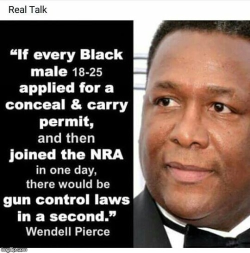 Truth. | . | image tagged in nra,african-americans,guns,permit,gun control | made w/ Imgflip meme maker