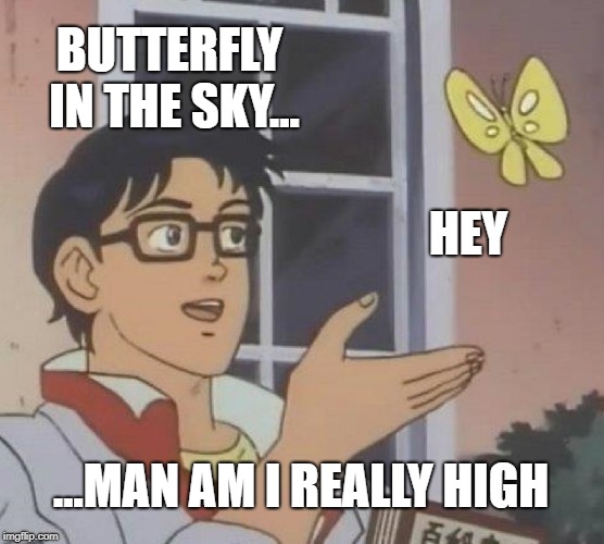 Reading Butterfly | BUTTERFLY IN THE SKY... HEY; ...MAN AM I REALLY HIGH | image tagged in memes,is this a pigeon,bobarotski,butterfly | made w/ Imgflip meme maker