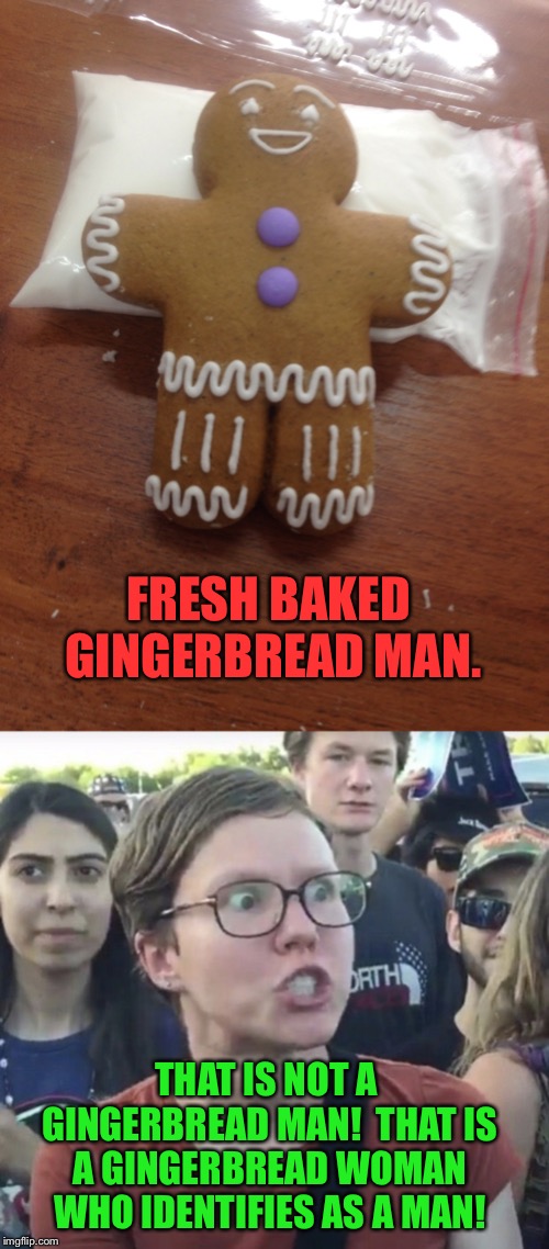 FRESH BAKED GINGERBREAD MAN. THAT IS NOT A GINGERBREAD MAN!  THAT IS A GINGERBREAD WOMAN WHO IDENTIFIES AS A MAN! | image tagged in triggered feminist,gingerbread | made w/ Imgflip meme maker