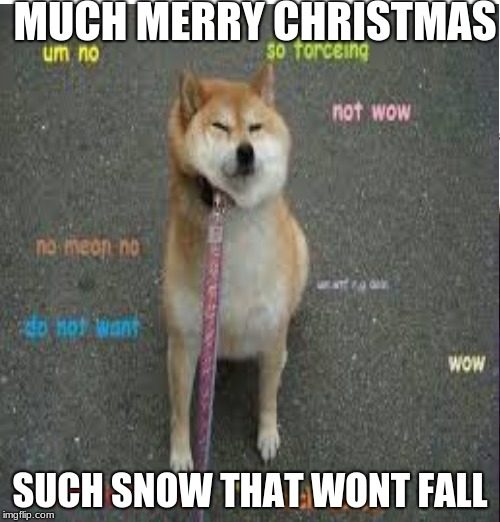 doges much christmas | MUCH MERRY CHRISTMAS; SUCH SNOW THAT WONT FALL | image tagged in doge,merry christmas,wont walk | made w/ Imgflip meme maker