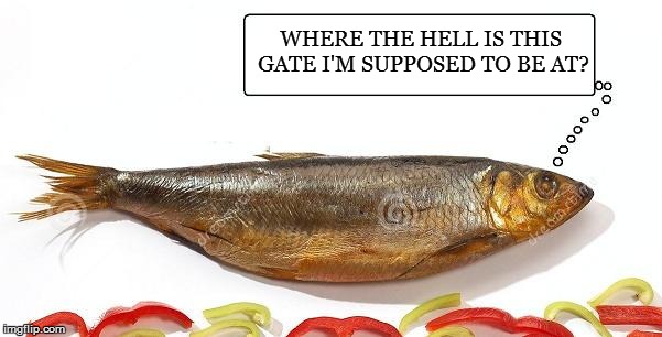 WHERE THE HELL IS THIS GATE I'M SUPPOSED TO BE AT? | made w/ Imgflip meme maker