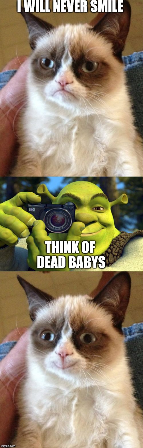 I WILL NEVER SMILE THINK OF DEAD BABYS | image tagged in memes,grumpy cat,grumpy cat happy,shrek camera | made w/ Imgflip meme maker