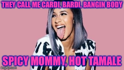 Cardi B | THEY CALL ME CARDI, BARDI, BANGIN BODY SPICY MOMMY, HOT TAMALE | image tagged in cardi b | made w/ Imgflip meme maker