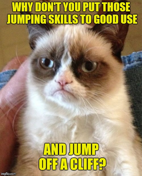 Grumpy Cat Meme | WHY DON'T YOU PUT THOSE JUMPING SKILLS TO GOOD USE AND JUMP OFF A CLIFF? | image tagged in memes,grumpy cat | made w/ Imgflip meme maker