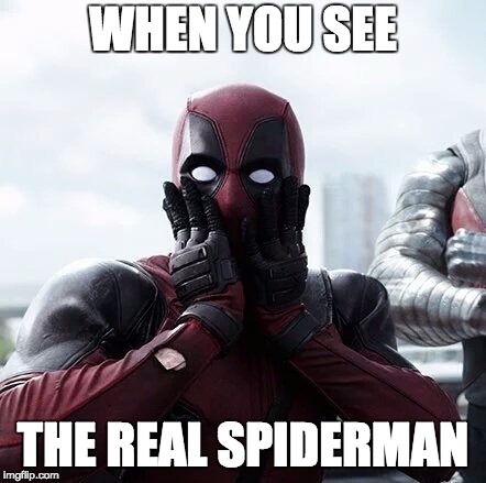 Deadpool Surprised | WHEN YOU SEE; THE REAL SPIDERMAN | image tagged in memes,deadpool surprised | made w/ Imgflip meme maker