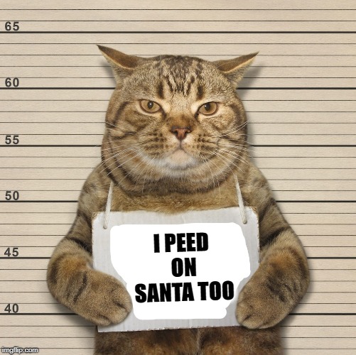 I PEED ON SANTA TOO | made w/ Imgflip meme maker