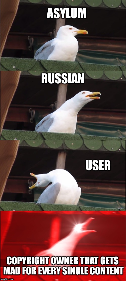 Inhaling Seagull | ASYLUM; RUSSIAN; USER; COPYRIGHT OWNER THAT GETS MAD FOR EVERY SINGLE CONTENT | image tagged in memes,inhaling seagull | made w/ Imgflip meme maker