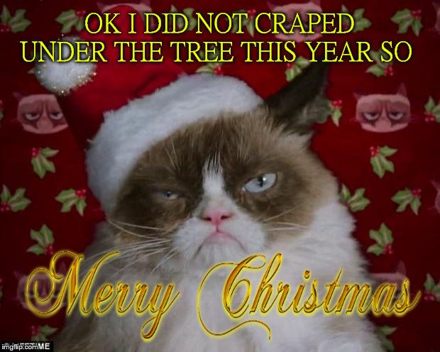 merry Christmas  | OK I DID NOT CRAPED UNDER THE TREE THIS YEAR SO | image tagged in grumpy cat christmas,craped,funny,cats,santa hat,merry christmas | made w/ Imgflip meme maker