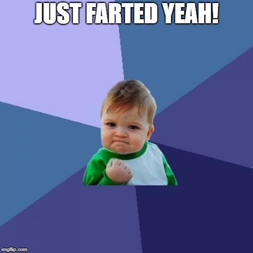 Success Kid | JUST FARTED YEAH! | image tagged in memes,success kid | made w/ Imgflip meme maker