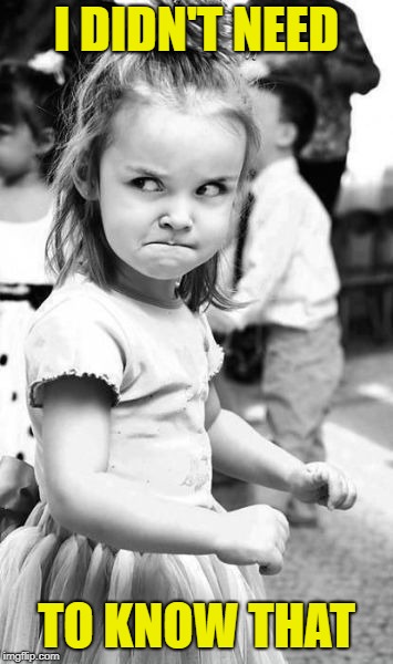 Angry Toddler Meme | I DIDN'T NEED TO KNOW THAT | image tagged in memes,angry toddler | made w/ Imgflip meme maker