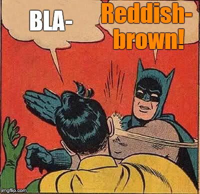 Batman Slapping Robin Meme | BLA- Reddish- brown! | image tagged in memes,batman slapping robin | made w/ Imgflip meme maker