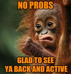 NO PROBS GLAD TO SEE YA BACK AND ACTIVE | made w/ Imgflip meme maker