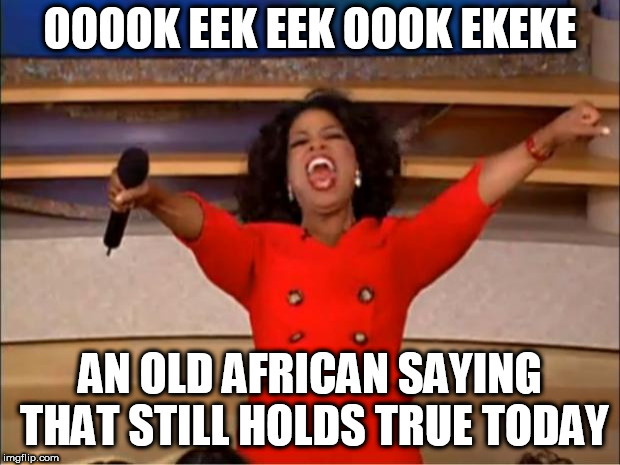 Oprah You Get A Meme | OOOOK EEK EEK OOOK EKEKE; AN OLD AFRICAN SAYING THAT STILL HOLDS TRUE TODAY | image tagged in memes,oprah you get a | made w/ Imgflip meme maker