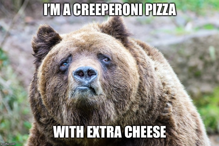 creeperoni pizza with extra cheese  | I’M A CREEPERONI PIZZA; WITH EXTRA CHEESE | image tagged in bearmeme,bear meme,meme,creeperonipizza,extracheese | made w/ Imgflip meme maker