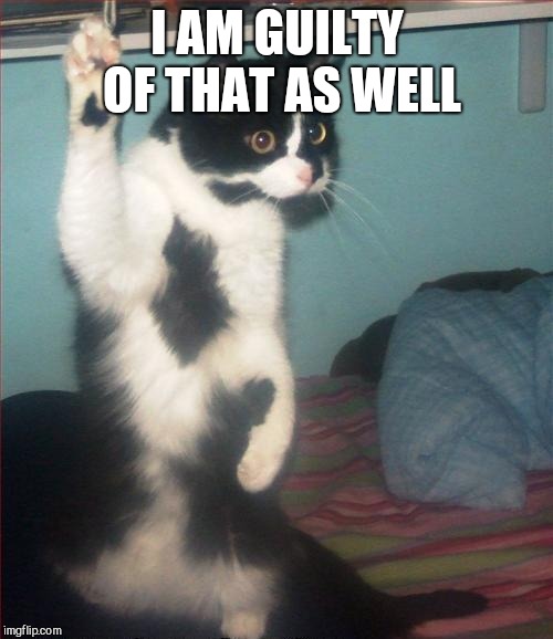 question cat | I AM GUILTY OF THAT AS WELL | image tagged in question cat | made w/ Imgflip meme maker