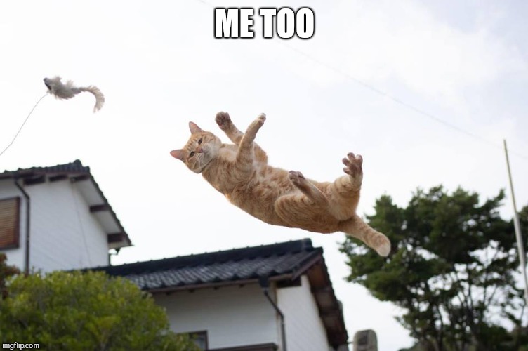 Cat falling | ME TOO | image tagged in cat falling | made w/ Imgflip meme maker