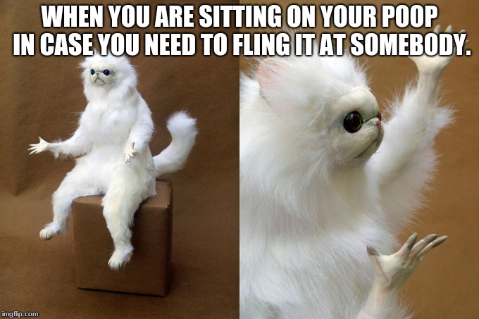 Persian Cat Room Guardian Meme | WHEN YOU ARE SITTING ON YOUR POOP IN CASE YOU NEED TO FLING IT AT SOMEBODY. | image tagged in memes,persian cat room guardian | made w/ Imgflip meme maker