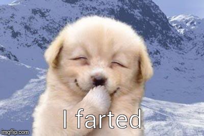 Dog fart :) | I farted | image tagged in laughing dog,farts,dog farts | made w/ Imgflip meme maker