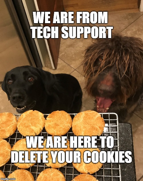 delete-your-cookies-imgflip