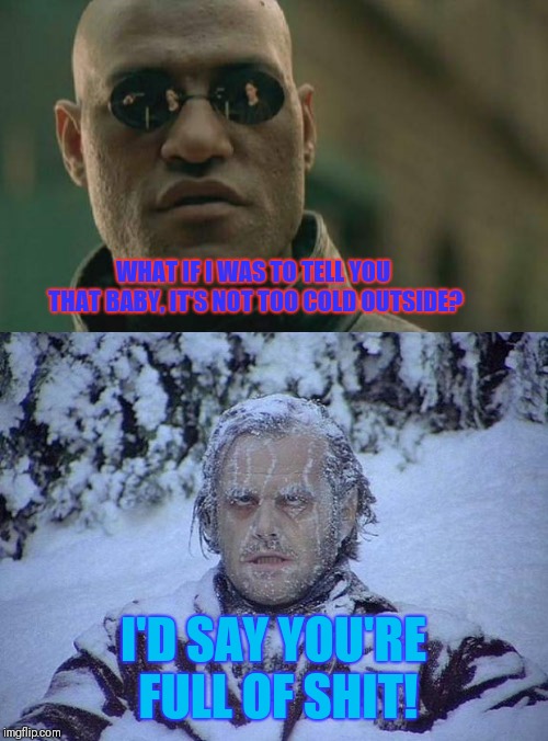 WHAT IF I WAS TO TELL YOU THAT BABY, IT'S NOT TOO COLD OUTSIDE? I'D SAY YOU'RE FULL OF SHIT! | image tagged in memes,matrix morpheus,jack nicholson the shining snow | made w/ Imgflip meme maker