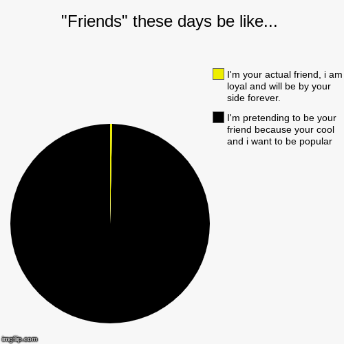 "Friends" these days be like... | I'm pretending to be your friend because your cool and i want to be popular, I'm your actual friend, i am  | image tagged in funny,pie charts | made w/ Imgflip chart maker