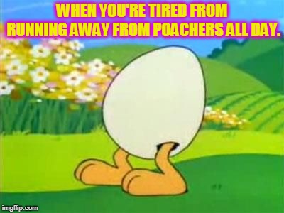 Sheldon | WHEN YOU'RE TIRED FROM RUNNING AWAY FROM POACHERS ALL DAY. | image tagged in sheldon,nixieknox,memes,garfield and friends | made w/ Imgflip meme maker