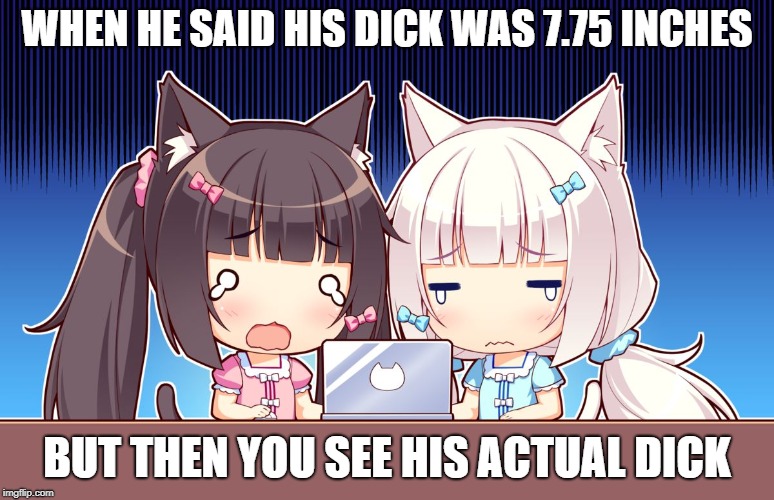 cute anime girls | WHEN HE SAID HIS DICK WAS 7.75 INCHES; BUT THEN YOU SEE HIS ACTUAL DICK | image tagged in cute anime girls | made w/ Imgflip meme maker