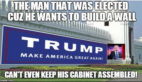 THE MAN THAT WAS ELECTED CUZ HE WANTS TO BUILD A WALL; CAN'T EVEN KEEP HIS CABINET ASSEMBLED! | image tagged in trump wall | made w/ Imgflip meme maker