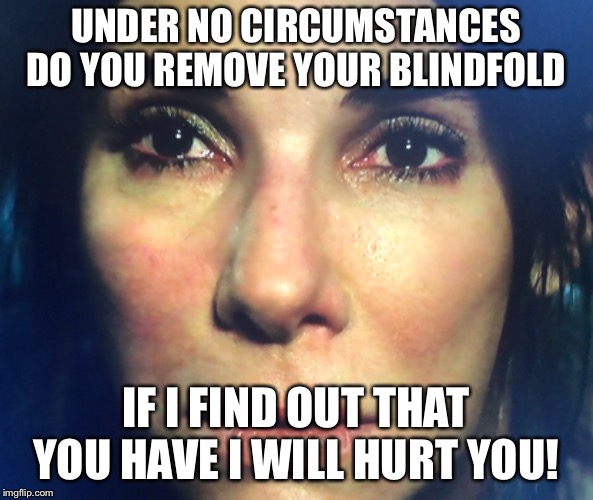 Birdbox | UNDER NO CIRCUMSTANCES DO YOU REMOVE YOUR BLINDFOLD; IF I FIND OUT THAT YOU HAVE I WILL HURT YOU! | image tagged in bird | made w/ Imgflip meme maker
