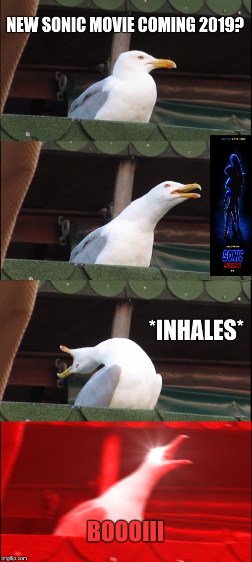 Inhaling Seagull Meme | NEW SONIC MOVIE COMING 2019? *INHALES*; BOOOIII | image tagged in memes,inhaling seagull | made w/ Imgflip meme maker