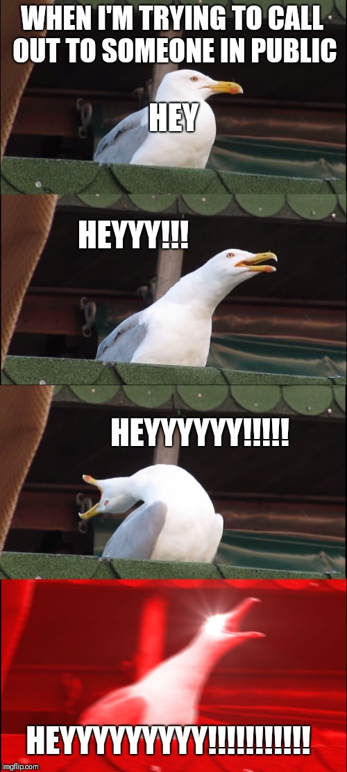 Inhaling Seagull | WHEN I'M TRYING TO CALL OUT TO SOMEONE IN PUBLIC; HEY; HEYYY!!! HEYYYYYY!!!!! HEYYYYYYYYY!!!!!!!!!!! | image tagged in memes,inhaling seagull | made w/ Imgflip meme maker
