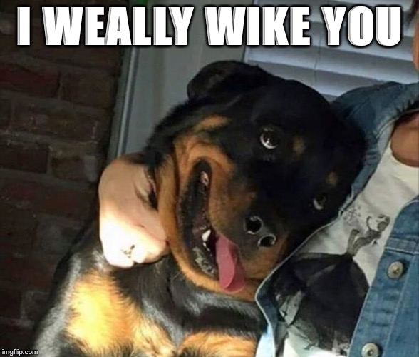 I WEALLY WIKE YOU | made w/ Imgflip meme maker