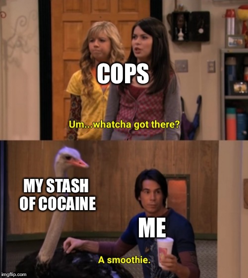Seems suspicious. | COPS; MY STASH OF COCAINE; ME | image tagged in whatcha got there,memes | made w/ Imgflip meme maker